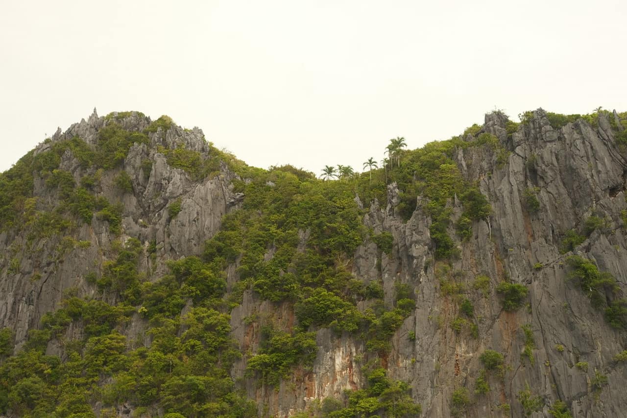 10 Tage Palawan