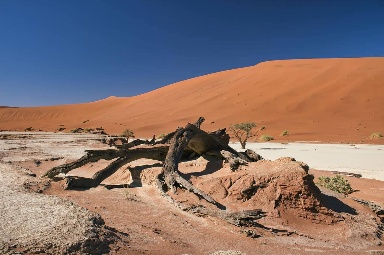 12 Tage Namibia