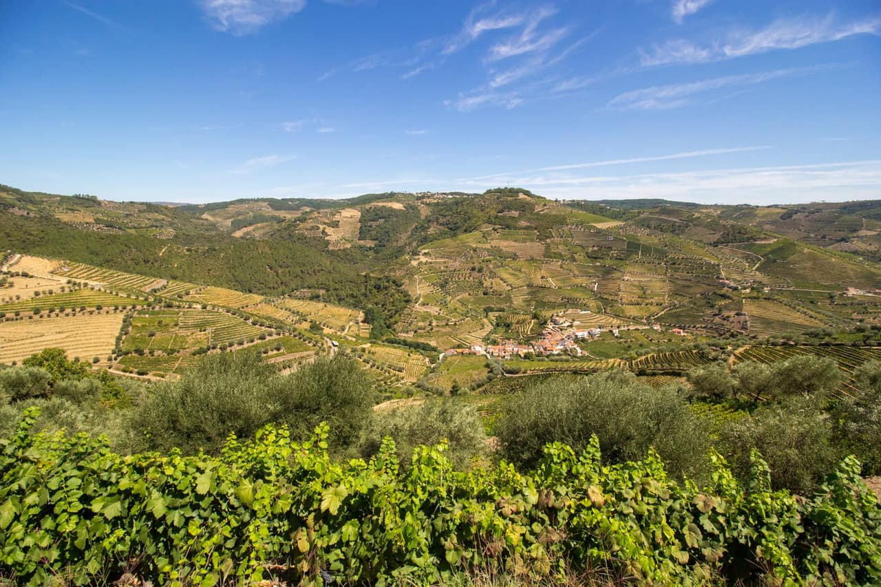 5 Tage Douro