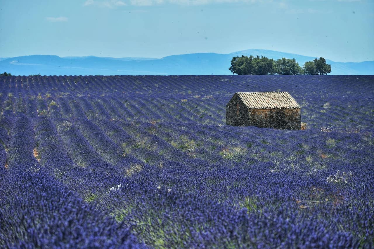 6 Tage Provence