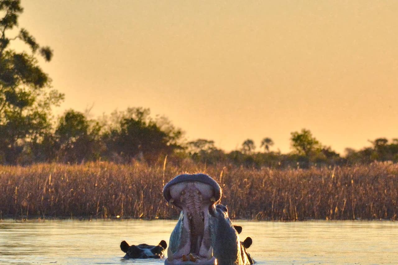 9 Tage Botswana